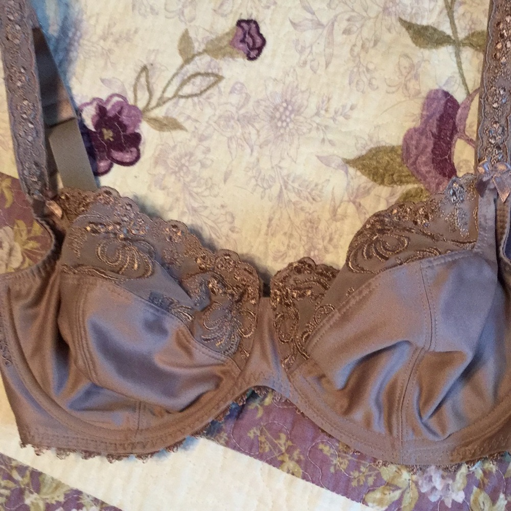 Rosa Faia bra 5648